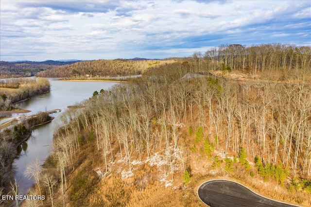 0 Twin Lakes Dr, Loudon, TN 37774 - photo 5