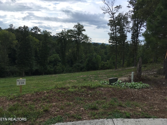 0 Twin Lakes Dr, Loudon, TN 37774 - photo 12