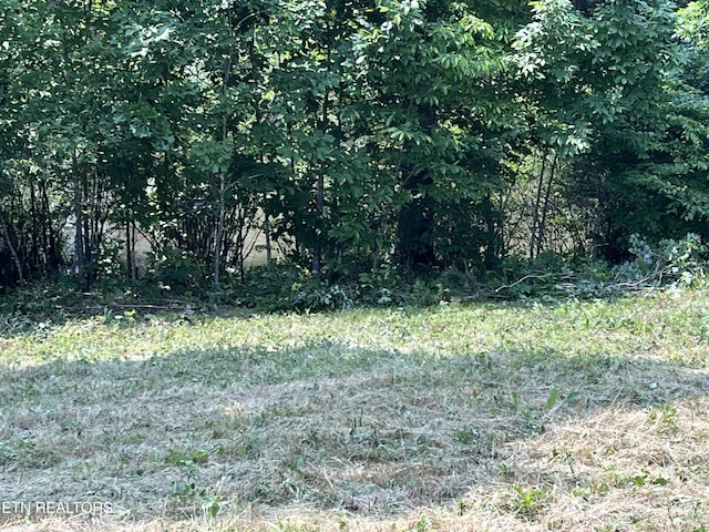 0 Twin Lakes Dr, Loudon, TN 37774 - photo 13