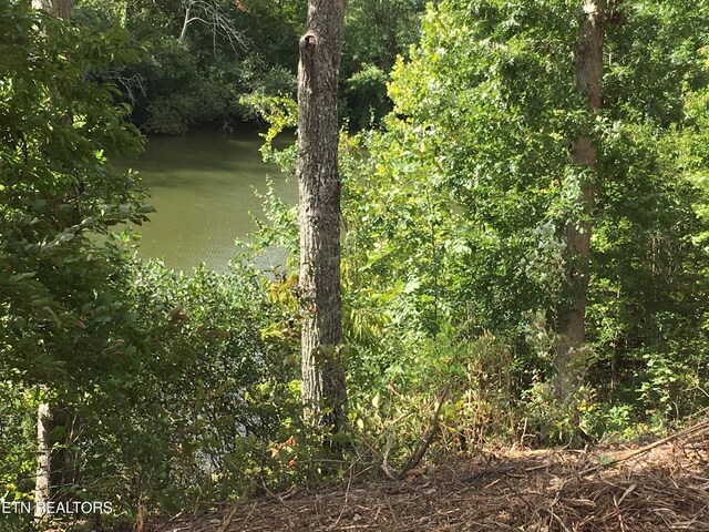 0 Twin Lakes Dr, Loudon, TN 37774 - photo 11