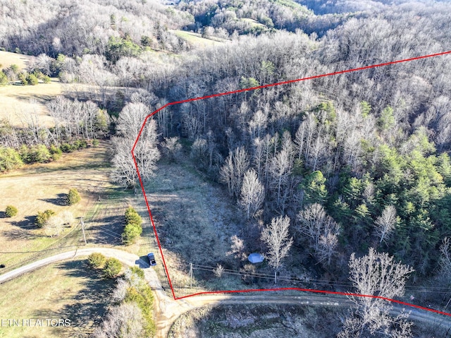 0 London Way, Parrottsville, TN 37843 - photo 16