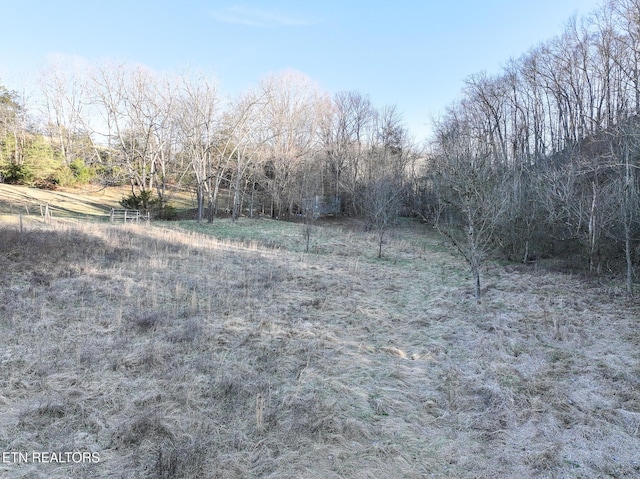 0 London Way, Parrottsville, TN 37843 - photo 8