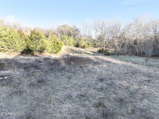 0 London Way, Parrottsville, TN 37843 - photo 9