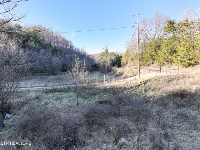 0 London Way, Parrottsville, TN 37843 - photo 11