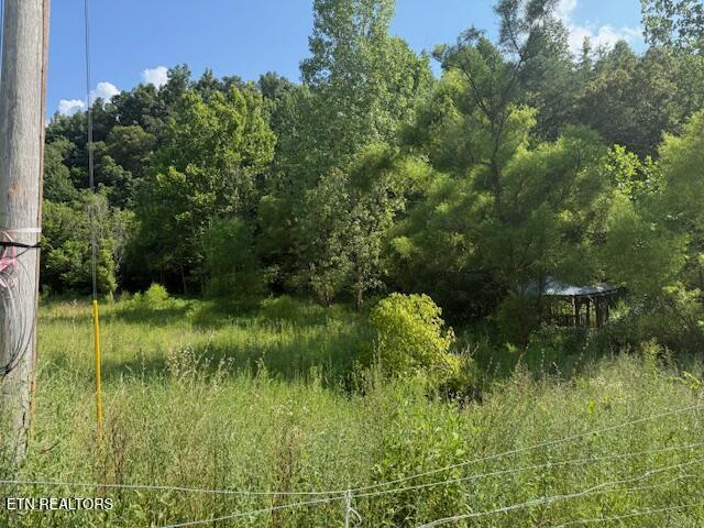 0 London Way, Parrottsville, TN 37843 - photo 1
