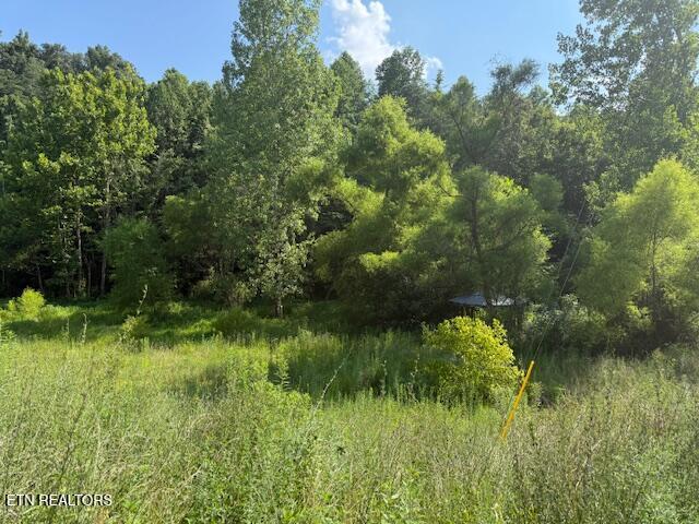 0 London Way, Parrottsville, TN 37843 - photo 2