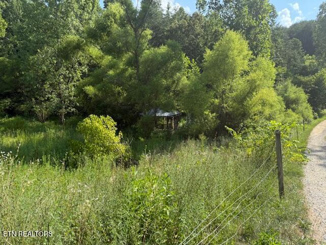 0 London Way, Parrottsville, TN 37843 - photo 3