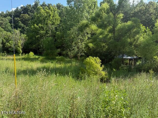 0 London Way, Parrottsville, TN 37843 - photo 4