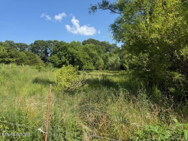 0 London Way, Parrottsville, TN 37843 - photo 5