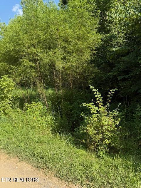 0 London Way, Parrottsville, TN 37843 - photo 19