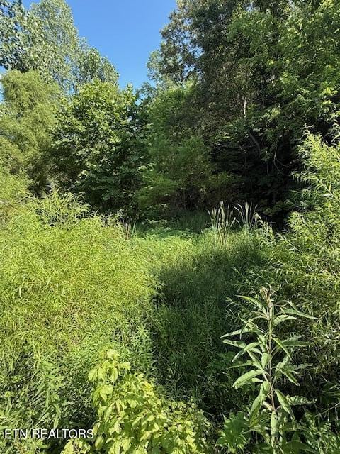 0 London Way, Parrottsville, TN 37843 - photo 17