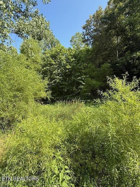 0 London Way, Parrottsville, TN 37843 - photo 18