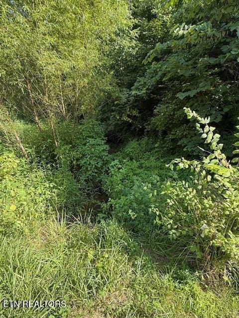 0 London Way, Parrottsville, TN 37843 - photo 15
