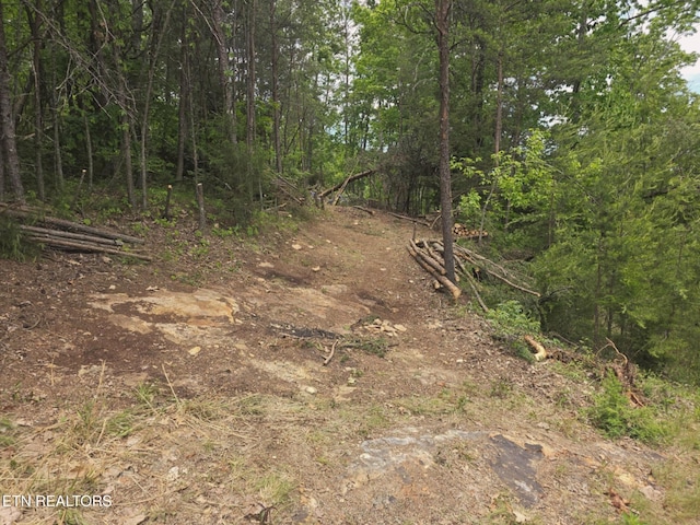 Wallen Ln, Bean Station, TN 37708
