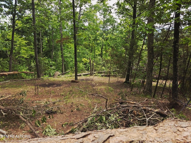 Wallen Ln, Bean Station, TN 37708