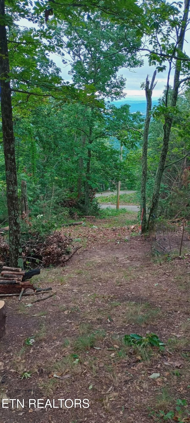Wallen Ln, Bean Station, TN 37708