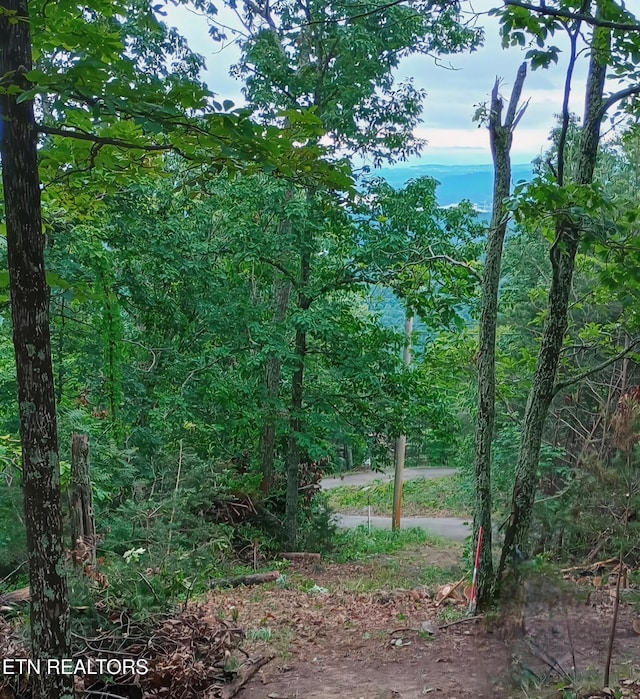 Wallen Ln, Bean Station, TN 37708