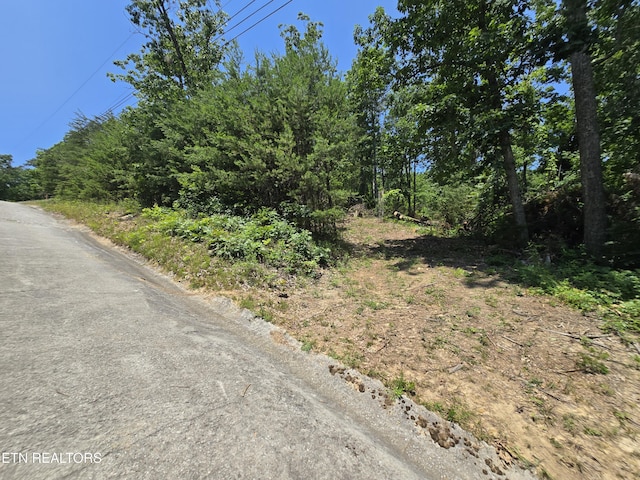 Wallen Ln, Bean Station, TN 37708 - photo 2