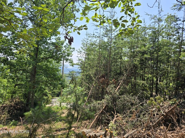 Wallen Ln, Bean Station, TN 37708 - photo 4