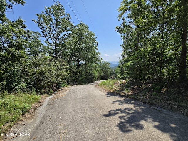 Wallen Ln, Bean Station, TN 37708 - photo 5