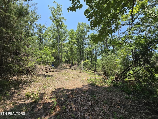 Wallen Ln, Bean Station, TN 37708 - photo 7