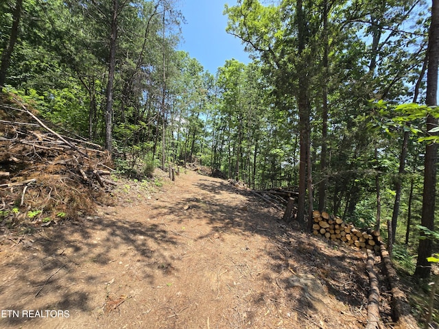 Wallen Ln, Bean Station, TN 37708 - photo 8