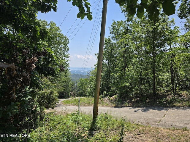 Wallen Ln, Bean Station, TN 37708 - photo 1