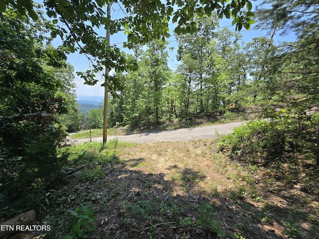 Wallen Ln, Bean Station, TN 37708 - photo 9