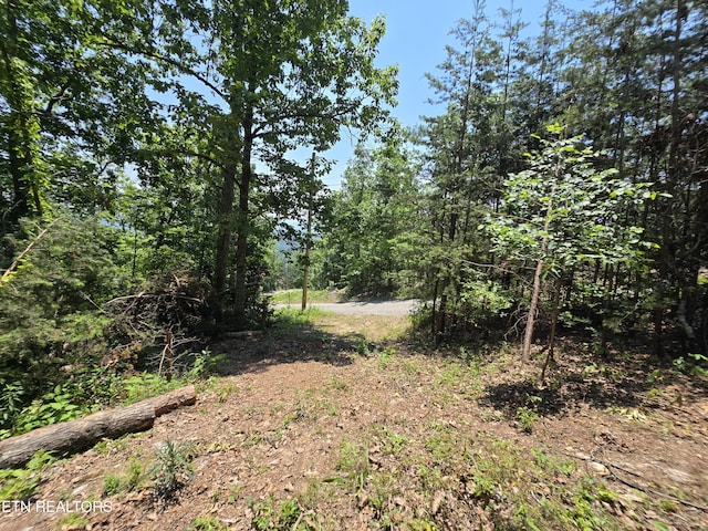 Wallen Ln, Bean Station, TN 37708 - photo 10