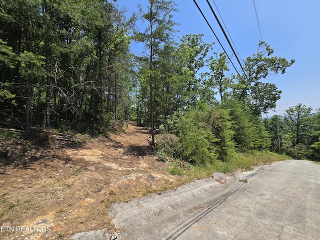 Wallen Ln, Bean Station, TN 37708 - photo 11