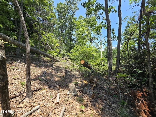 Wallen Ln, Bean Station, TN 37708 - photo 12
