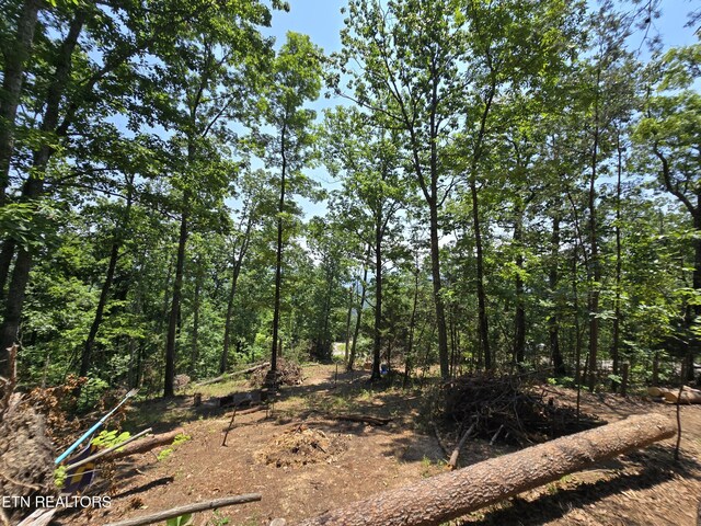 Wallen Ln, Bean Station, TN 37708 - photo 14