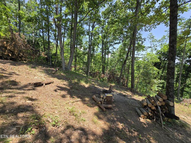 Wallen Ln, Bean Station, TN 37708 - photo 15