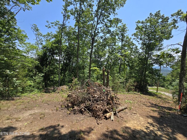 Wallen Ln, Bean Station, TN 37708 - photo 16