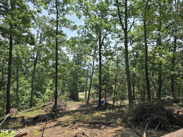 Wallen Ln, Bean Station, TN 37708 - photo 17
