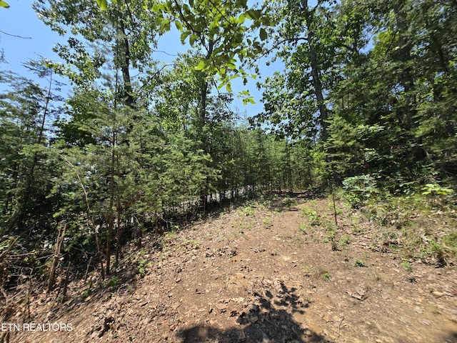 Wallen Ln, Bean Station, TN 37708 - photo 18