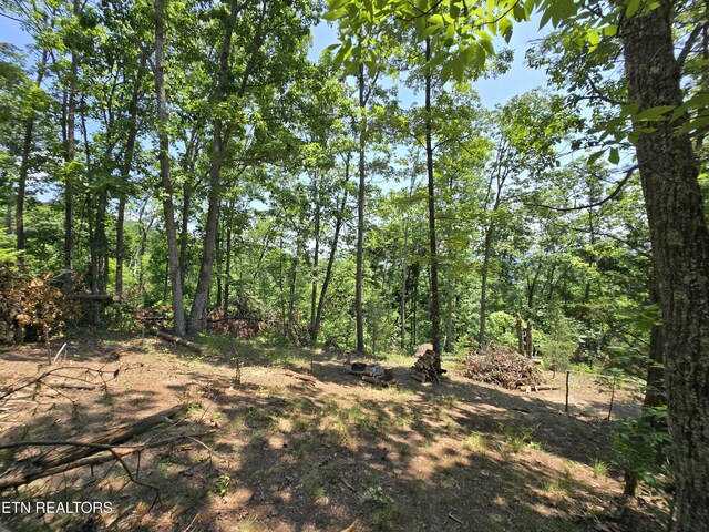 Wallen Ln, Bean Station, TN 37708 - photo 19