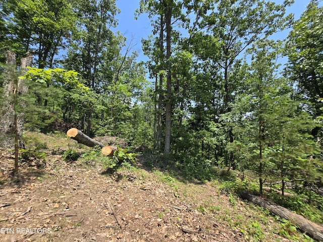 Wallen Ln, Bean Station, TN 37708 - photo 20