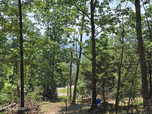 Wallen Ln, Bean Station, TN 37708 - photo 21