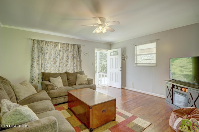 809 Topoca Trl, Athens, TN 37303 - living room featuring a ceiling fan, ornamental molding, light wood-style flooring, and baseboards