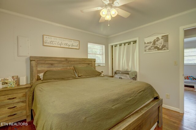 809 Topoca Trl, Athens, TN 37303 - bedroom with ornamental molding, multiple windows, wood finished floors, baseboards, and a ceiling fan