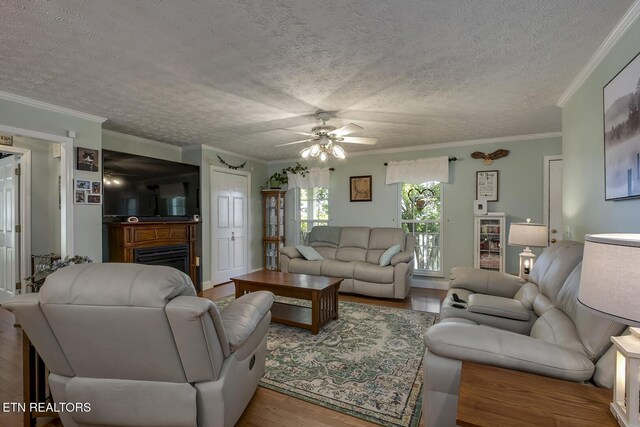 111 Ellis St, Vonore, TN 37885 - living room with wood finished floors, ceiling fan, crown molding, a textured ceiling, and a fireplace