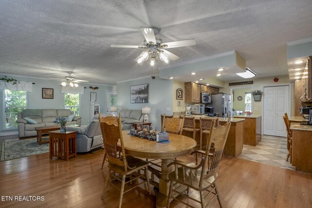 111 Ellis St, Vonore, TN 37885 - dining area with ceiling fan, ornamental molding, light wood-style floors, and a textured ceiling