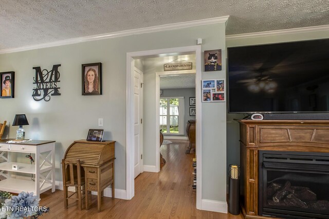 111 Ellis St, Vonore, TN 37885 - office space featuring a textured ceiling, wood finished floors, a fireplace, baseboards, and ornamental molding
