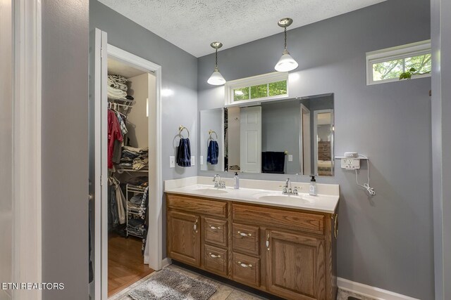 111 Ellis St, Vonore, TN 37885 - full bathroom featuring double vanity, plenty of natural light, a spacious closet, and a textured ceiling