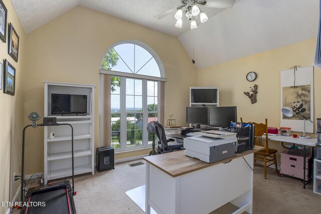 111 Ellis St, Vonore, TN 37885 - carpeted office with lofted ceiling, ceiling fan, and healthy amount of natural light