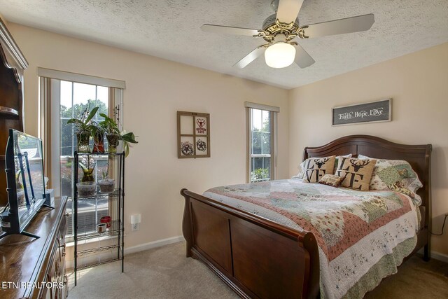 111 Ellis St, Vonore, TN 37885 - bedroom featuring light carpet, multiple windows, baseboards, and a textured ceiling