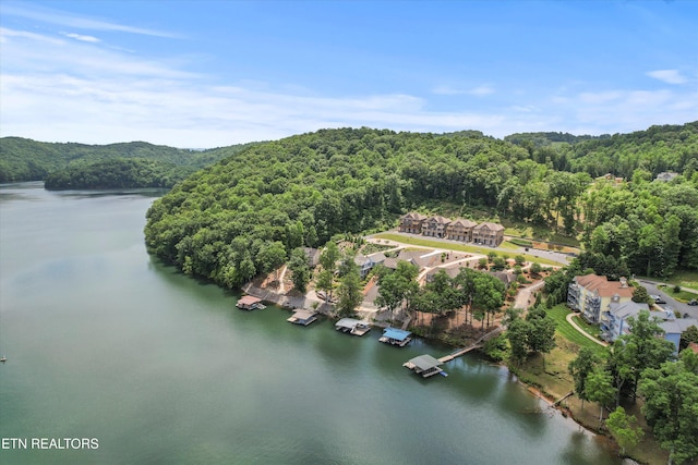 602 Round Lake Cir, Andersonville, TN 37705 - photo 42