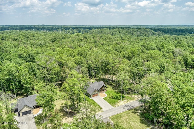 191 Creekview Ct, Jamestown, TN 38556 - bird's eye view of a heavily wooded area