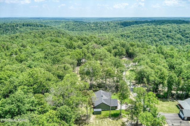 191 Creekview Ct, Jamestown, TN 38556 - view of subject property featuring a heavily wooded area